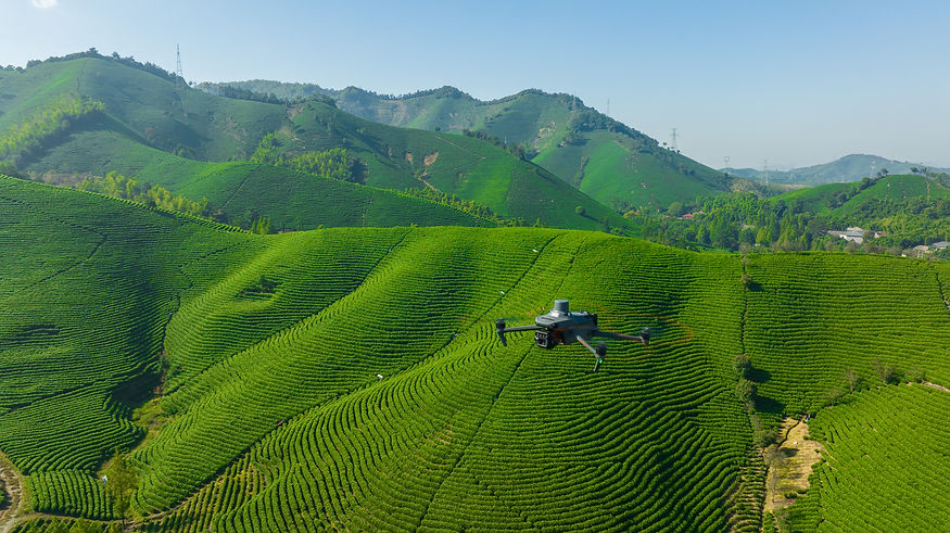 DJI Mavic 3 Multispectral drone for smart farming